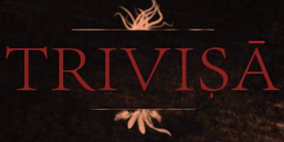 logo Trivisa logo Trivisa