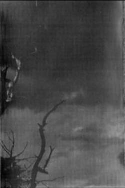 Tümëur : Sédition