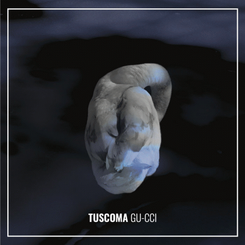 Tuscoma : Gu-cci