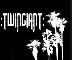 logo Twingiant