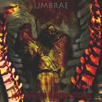 Umbrae : Beaten