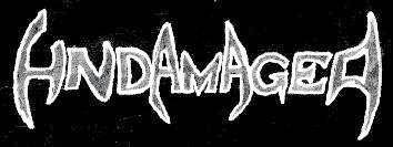 logo Undamaged