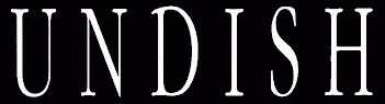logo Undish
