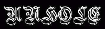 logo Unhole