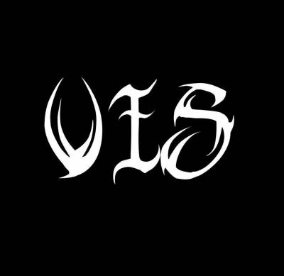 logo VIS