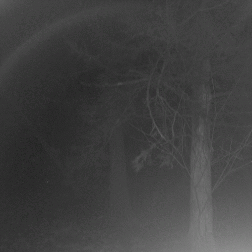 Vaelastrasz : Duskwood