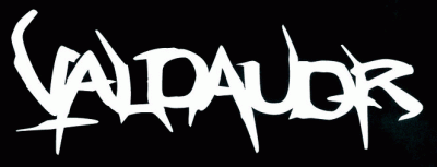logo Valdaudr logo Valdaudr