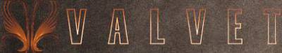 logo Valvet
