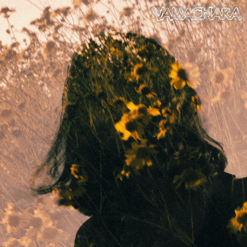 Vamachara : Hereafter