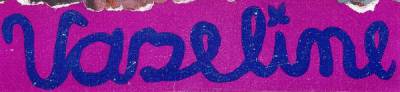 logo Vaseline