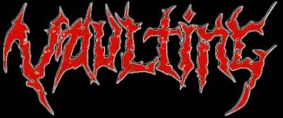logo Vaulting logo Vaulting