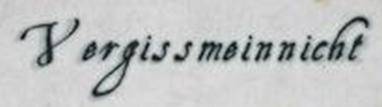 logo Vergissmeinnicht