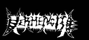 logo Vermenoise logo Vermenoise