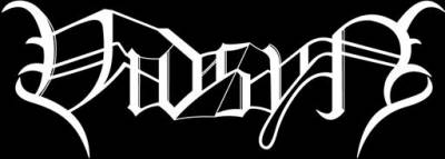 logo Vidsyn