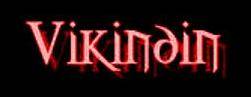 logo Vikindin