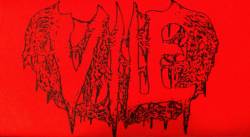 Vile (USA) : Unearthed