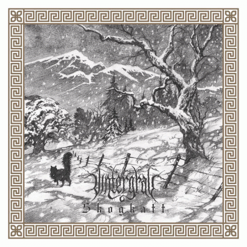 Vintergrav : Skogkatt