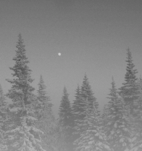 Vintlechkeit : Dødssted​...