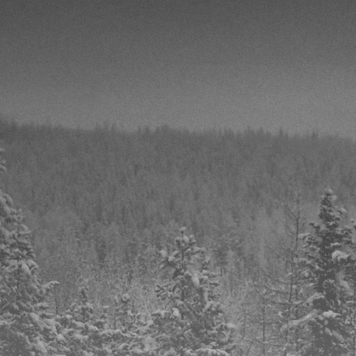 Vintlechkeit : Til...