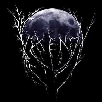 logo Vixenta logo Vixenta