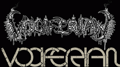 logo Vociferian logo Vociferian