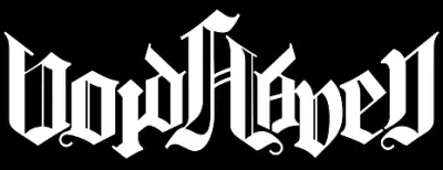 logo Voidhaven