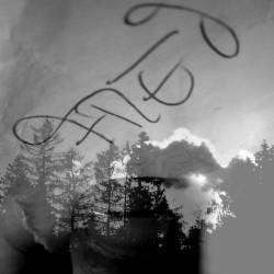 Vrångbild : Frei Vrångbild : Frei