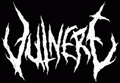 logo Vulnere