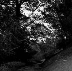 Vuotare : Melancholia