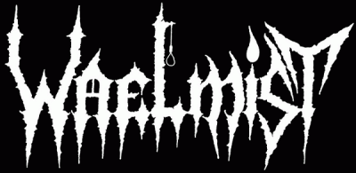 logo Waelmist