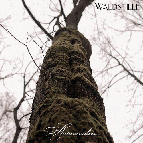Waldstille : Autumnalias...
