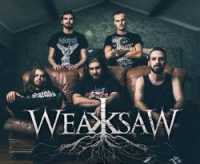 interview Weaksaw