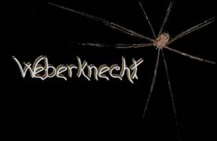 logo Weberknecht