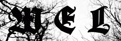 logo Wel