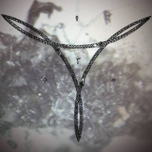 Weltfremd : Drei Weltfremd : Drei