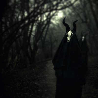 White Ward : Futility Report