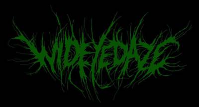logo Wideyedaze