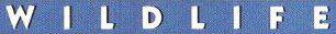 logo Wildlife logo Wildlife