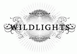 logo Wildlights