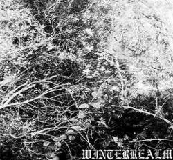 Winterrealm : Ancient