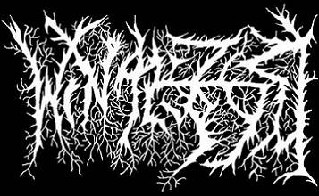 logo Winterfrys