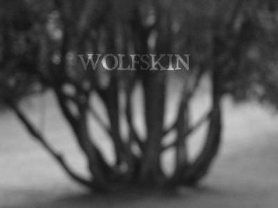 logo Wolfskin