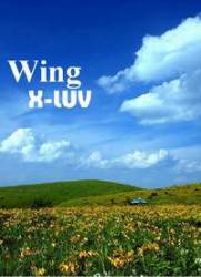 X-Luv : Wing