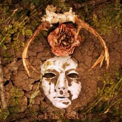 Xanthochroid : Harvest