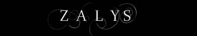 logo Zalys