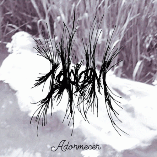 Zolpidem : Adormecer